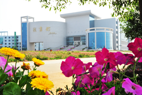 工程案例一：武昌理工学院图书馆大楼